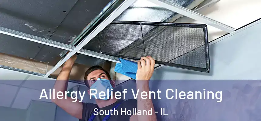 Allergy Relief Vent Cleaning South Holland - IL