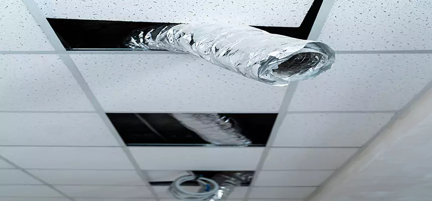 Our Air Duct Pet Hair Removal Services in South Holland, IL