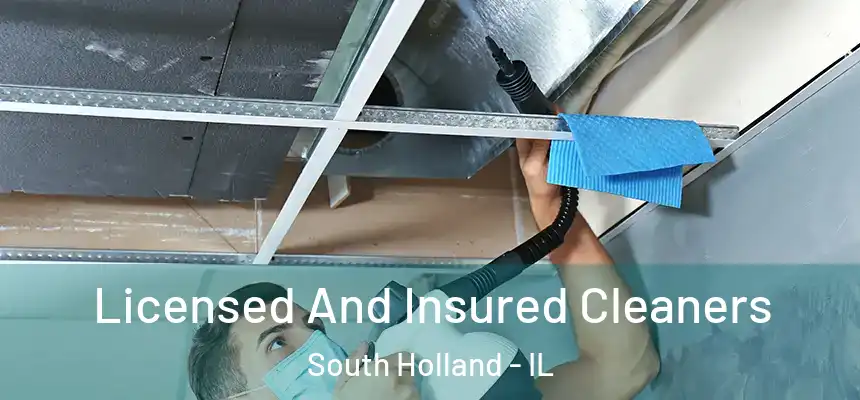 Licensed And Insured Cleaners South Holland - IL