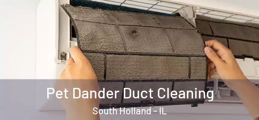  Pet Dander Duct Cleaning South Holland - IL