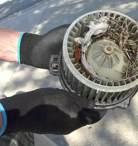 About Air Duct Mice Removal in South Holland, IL