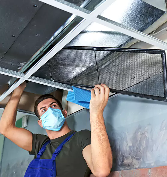 Professional Air Duct Pollen Cleaning in South Holland, IL