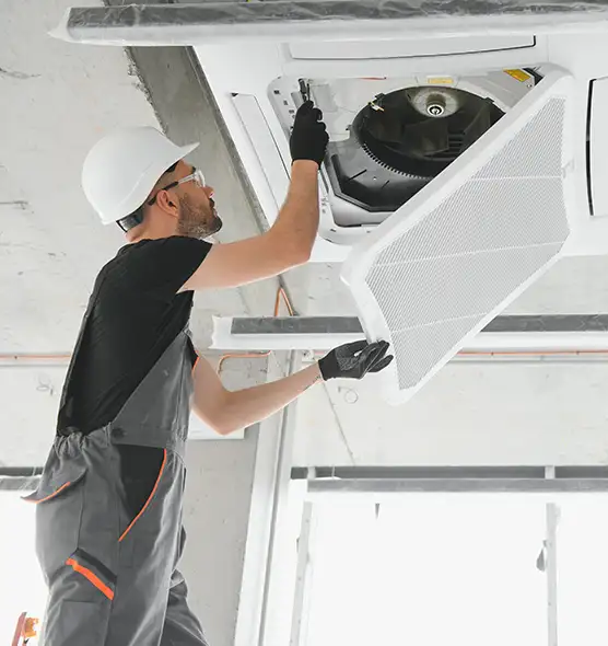 About Air Duct Rodent Removal in South Holland, IL