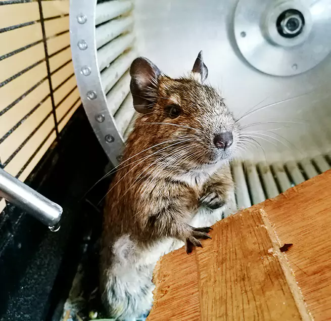 Why Homeowners & Businesses Trust Us South Holland, IL