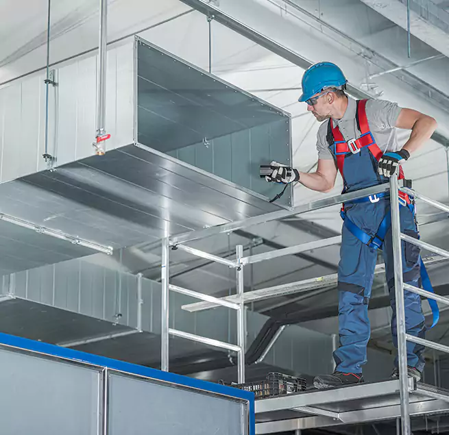 Why Homeowners & Businesses Trust Us in South Holland, IL?