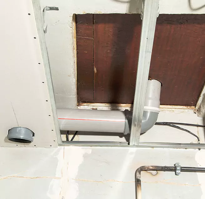 Why Homeowners & Businesses Trust Us in South Holland, IL?