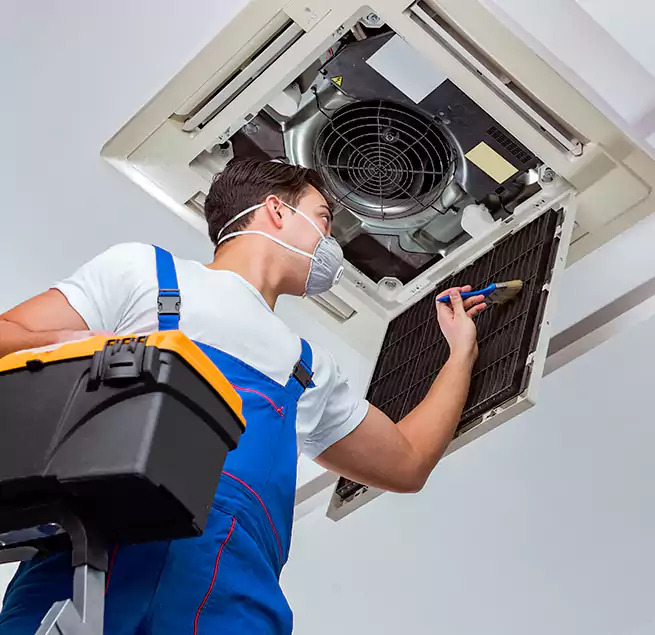 Why Homeowners & Businesses Trust Us in South Holland, IL?