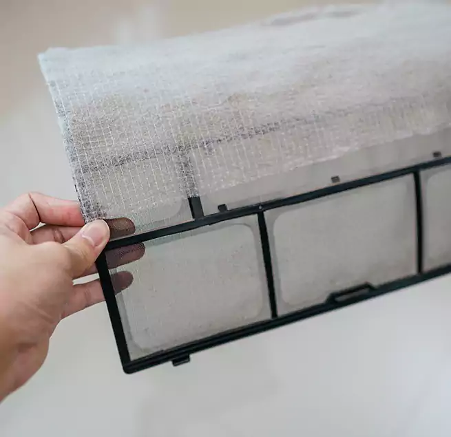 Why Homeowners & Businesses Trust Us in South Holland, IL?