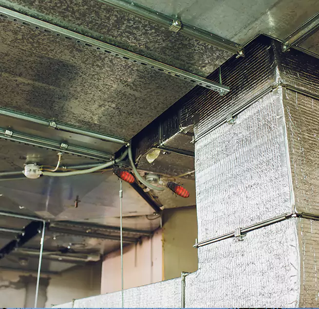 Why Homeowners & Businesses Trust Us South Holland, IL?