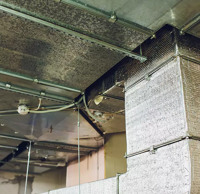 Why Homeowners & Businesses Trust Us in South Holland, IL?