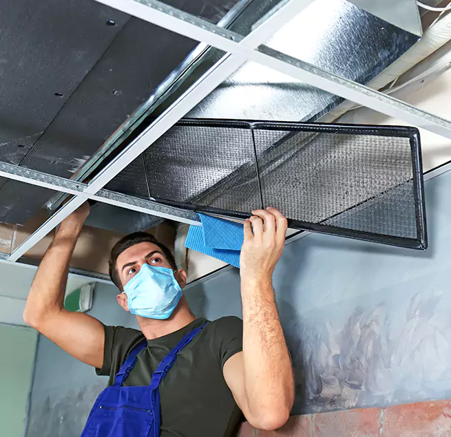  Why Homeowners Businesses Trust Us  in South Holland, IL?